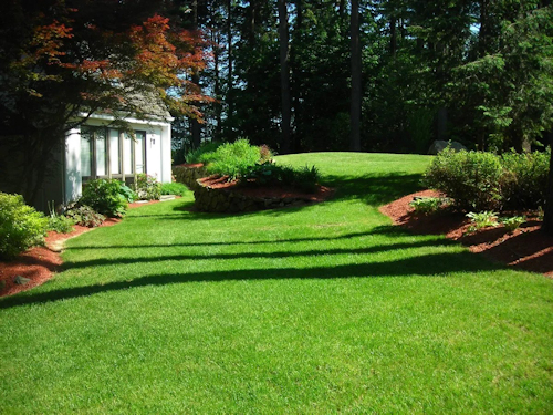 Beautiful Backyard