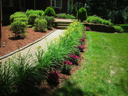 Beautiful Walkway