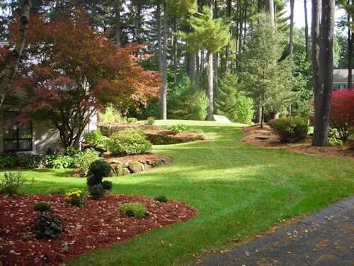 Side yard