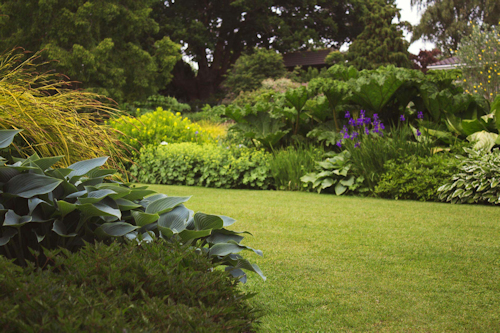 Grounds