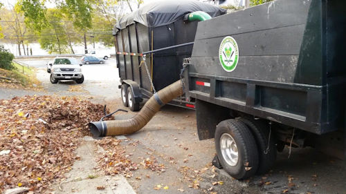 Leaf blower